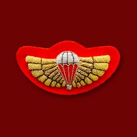 Badges brodés à la main personnalisés en fils métalliques et perles, éco-responsables, en laine, pour blazer, à coudre