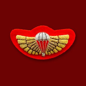 Badges brodés sur mesure faits main traditionnels en fil métallique, éco-responsables, en laine, pour blazer, avec fil de soie, à coudre ou à fixer par aimant - Product Image 5