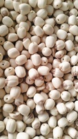 Graines de lotus séchées de qualité supérieure, 100% pures, fermes du Vietnam, marque Green Future, durée de conservation de 18 mois, prix avantageux, produit agricole
