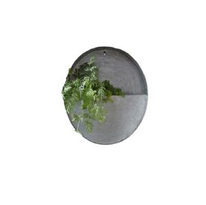 Étagère murale ronde en métal galvanisé de qualité supérieure, pour plantes suspendues, décoration intérieure et extérieure, jardin, balcon. - Product Image 5