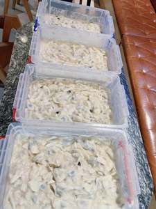 Premium Frozen Soursop from Vietnam Natural Fruit Pulp for Juice Drinks Desserts Smoothies Foodservice Catering and Export Trade - Product Image 5