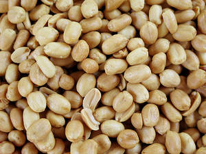 Nuevas Cacahuates Supremas de Cosecha Reciente, Cacahuates Indios Supremos, Exportación de Granos de Cacahuete Supremos, Nuevas Cacahuates Supremas de Cosecha Reciente - Product Image 2