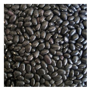 Haricots noirs de qualité supérieure, fournisseur en gros, exportateur de haricots séchés naturels pour les acheteurs internationaux et l'industrie alimentaire - Product Image 3