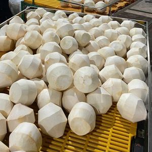 Fournisseur de noix de coco fraîches du Vietnam, noix de coco vertes jeunes de qualité supérieure - Product Image 4