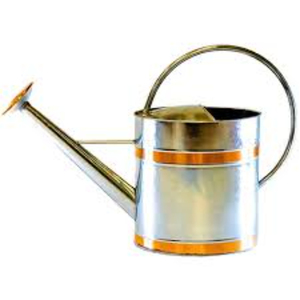 Arrosoir en fer galvanisé au design antique, prix d'usine, outil de jardinage en métal écologique pour plantes d'intérieur et d'extérieur - Product Image 2