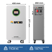 Batterie LiFePO4 51.2V 314Ah 16.07kWh, cellules de qualité A, 8000 cycles, garantie 3 ans, entrepôt UE, expédition rapide, facile à déplacer