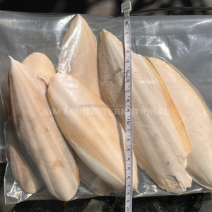 กระดูกปลาหมึกแห้งพรีเมียม เวียดนาม |   หลายขนาด 5-15 ซม. ขึ้นไป สำหรับนก เต่า หอยทาก และสัตว์เลี้ยง - Product Image 4