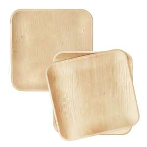 New Stylish Sustainable Areca Palm Leaf <b>Plates</b> for Modern Catering 10 Inches Square <b>Plates</b> Healthy Food Outdoor Events <b>Plates</b> - Product Image 1