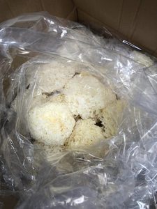 Champignon Tremella blanc séché propre pour base de soupe Ingrédient de dessert Vente en gros au Vietnam - Product Image 3