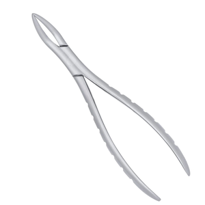 Forceps d'extraction dentaire à dents sécantes 301 pour racines inférieures, en acier inoxydable, instrument chirurgical pour l'élimination des racines, outil de forceps dentaire - Product Image 3