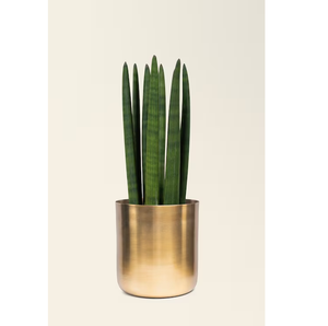 Brass Planter Pot Handicrafts Planter Pot Flower Pot Decorative Home Garden Balcony Decoration Pieces - Product Image 2