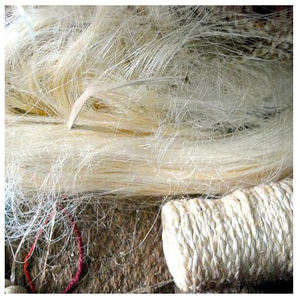 Ventes à prix réduits de fibres de sisal de qualité, chanvre de sisal, fibres de sisal naturelles de qualité supérieure à vendre - Product Image 2
