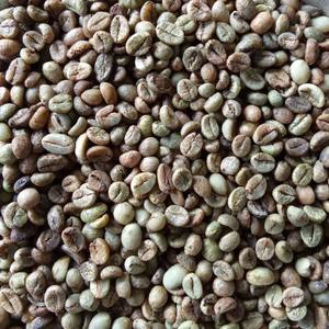 Bulk Premium OEM/ODM Jute Bag PP Bags Robusta Coffee Bean High Ripeness Rate <b>Raw</b> <b>Material</b> Perfect Bulk Supply - Product Image 4