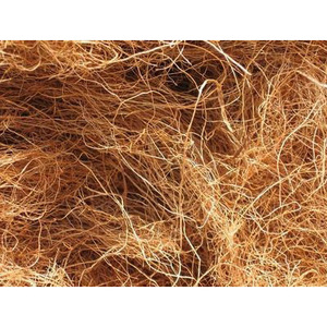 Fibres de noix de coco écologiques et durables en vrac à vendre - Product Image 6