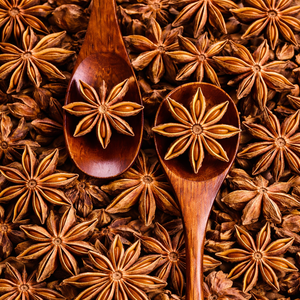 โป๊ยกั๊กสตาร์อะไนซ์ราคาถูกที่สุด / โป๊ยกั๊กสตาร์อะไนซ์เก็บเกี่ยวฤดูใบไม้ร่วงจากเวียดนาม / คุณอลีนา - Product Image 2