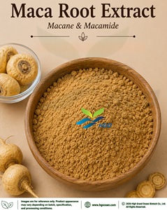 Suministro directo de fábrica HGO de extracto de raíz de Maca natural puro (grado alimenticio) macano y macamida 0.6% - 1.8% (extracto estandarizado) - Product Image 1