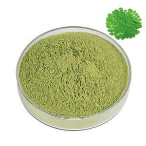 Poudre de Moringa Oleifera de qualité supérieure, extrait végétal pour la nutrition bien-être, compléments alimentaires et produits de santé botaniques - Product Image 4