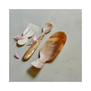 Factory Direct Mother Of Pearl <b>Spoon</b> Handmade Shell Craft For Global Wholesale Buyers - Product Image 1