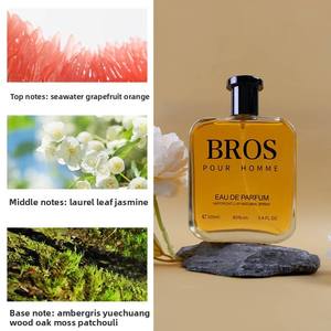 100ml Men's Eau De Parfum Fresh Woody Fragrance Long Lasting <b>Spray</b> OEM Private Label US & Europe Delivery Available - Product Image 4