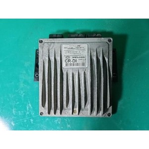 Carnival a utilisé des ECU et des modules informatiques 391014X820 - Product Image 1