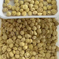 Champignons en conserve de haute qualité en vrac, entiers, P&S, marinés, Agaricus Bisporus en saumure pour usine alimentaire