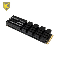 AITC KINGSMAN Internal M.2 2280 SSD PCIe Gen5 2TB DRAM Cache dengan Kecepatan Baca/Tulis 14000/13000MB/s untuk PC Gaming Desktop