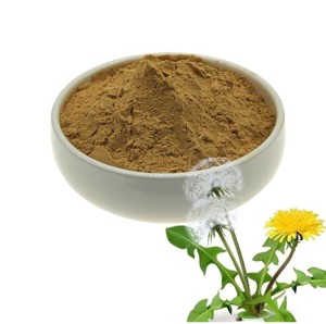 Poudre de racine de pissenlit 100% pure, poudre de racine de Taraxacum Officinale de qualité supérieure pour tisanes, alternative au café, smoothies et boissons - Product Image 4