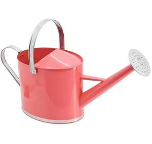 Arrosoir en métal au design attrayant, outil professionnel pour l'arrosage des plantes - Product Image 2