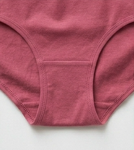 Women’s Brief <b>Underwear</b> – Everyday Wear, Clean Design, Regular Style - Product Image 3