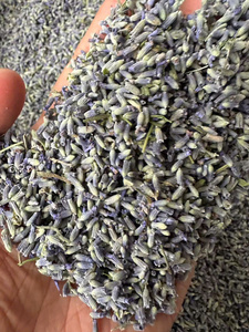 Vietnam <b>Dried</b> Lavender Flower Supplier for Craft and Decoration - Product Image 5