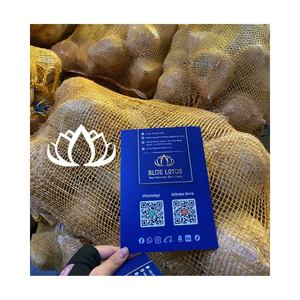 READY STOCK Fresh Semi Husked Coconut premium clean export quality for cooking and smoothie <b>bars</b> from selected coconut source - Product Image 1
