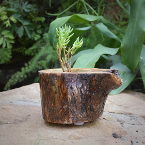 Maceta de madera ecológica de alta calidad, artesanía para decoración de plantas de interior, acabado en madera natural, maceta redonda pequeña. - Product Image 6