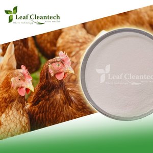 Poultry Feed Cocktail <b>Enzyme</b> High-Grade <b>Enzymes</b> for Animal Feed - Versatile Solutions From Bangalore, Karnataka, India - Product Image 1