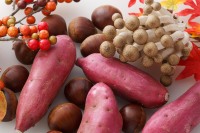 Grandes quantités de légumes verts de qualité supérieure : Radis, Épinards frais, Chou à tige verte