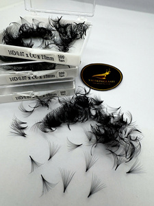 Extensions de cils volume pré-faits 10D 0.07 13mm, 500 bouquets, PBT coréen, Cachemire doux, Noir mat, Courbure C CC D, Base pointue - Product Image 2