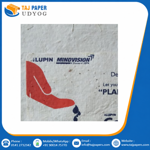 Etiquetas de Papel con Semillas de Flores Silvestres Integradas, Etiquetas Plantables Sostenibles, Etiquetas de Regalo Ecológicas Personalizadas - Product Image 6