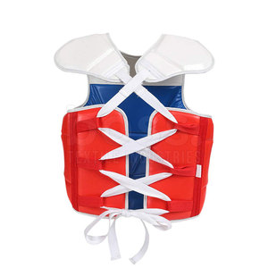 Protection Thoracique Légère à Prix Abordable pour Adultes (Hommes et Femmes) – Protection Complète du Torse - Product Image 2