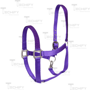 Premium Purple Nylon Horse <b>Halter</b> Adjustable Heavy Duty Equestrian Headcollar with Metal Buckles - Product Image 2