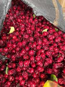Flor de hibisco Roselle de Vietnam: Flor entera seca para té de hierbas, Exportación a granel con embalaje OEM/Sra. Lima - Product Image 4