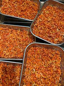 Camarones Secos de Vietnam, Producto Marino Pequeño para Sopas, Condimento para Fideos, Platos de Arroz, Salsas, Catering y Venta al por Mayor - Product Image 4