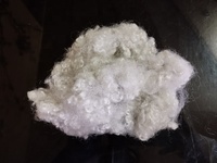 Fibre de polyester 100% de haute qualité, 15D HC, blanche, creuse, conjuguée, certifiée OEKO-TEX, recyclable, pour le rembourrage de jouets à tisser
