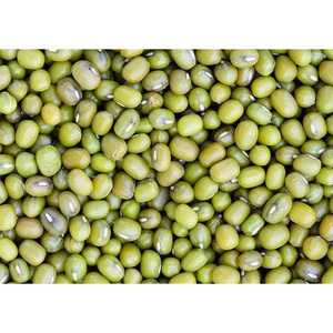 Frijoles Mung Verdes Secos de Alta Calidad, Venta al Por Mayor a Granel - Product Image 6