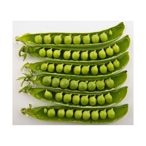 ถั่วลันเตาเขียวราคาถูก บรรจุภัณฑ์สำหรับการจัดจำหน่ายเชิงพาณิชย์ - Product Image 2