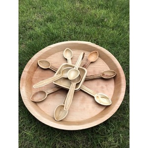Platos Desechables Cuadrados de Hoja de Palma con Bandeja, Vajilla Moderna Ecológica para Bodas, Diseño de Hoja de Areca Natural - Macy - Product Image 4