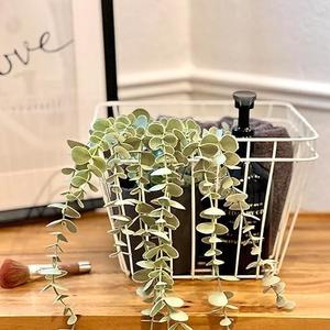 Wholesale Black Coated Countertop <b>Storage</b> <b>Basket</b> Metal Organizer Fruits and <b>Vegetable</b> <b>Storage</b> Kitchenware Metal <b>Basket</b> - Product Image 4