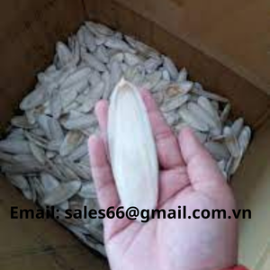 Chất Lượng Cao Khô Mực Xương Bột Giá Thấp Nâu Đỏ Số Lượng Lớn MS Lily + 84906927736 Protein Cao Dinh Dưỡng Nguồn - Product Image 4