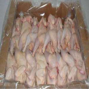 Best-Selling Healthy High-Protein Grain-Free Organic Non-GMO Frozen Quarter Leg Chicken For Sale - Product Image 1