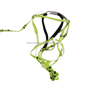 Horse Equipment Equestrian Wholesale Light Green PVC Horse <b>Bridle</b> with Reins - Product Image 3
