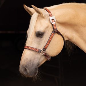 Harnais en cuir roulé pour cheval en cuir indien de haute qualité avec boucle en laiton et rembourrage doux en cuir de vache - Product Image 5