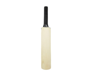 Mini batte de cricket Autograph Signature (15 pouces) par Naqqash Sports - Product Image 5